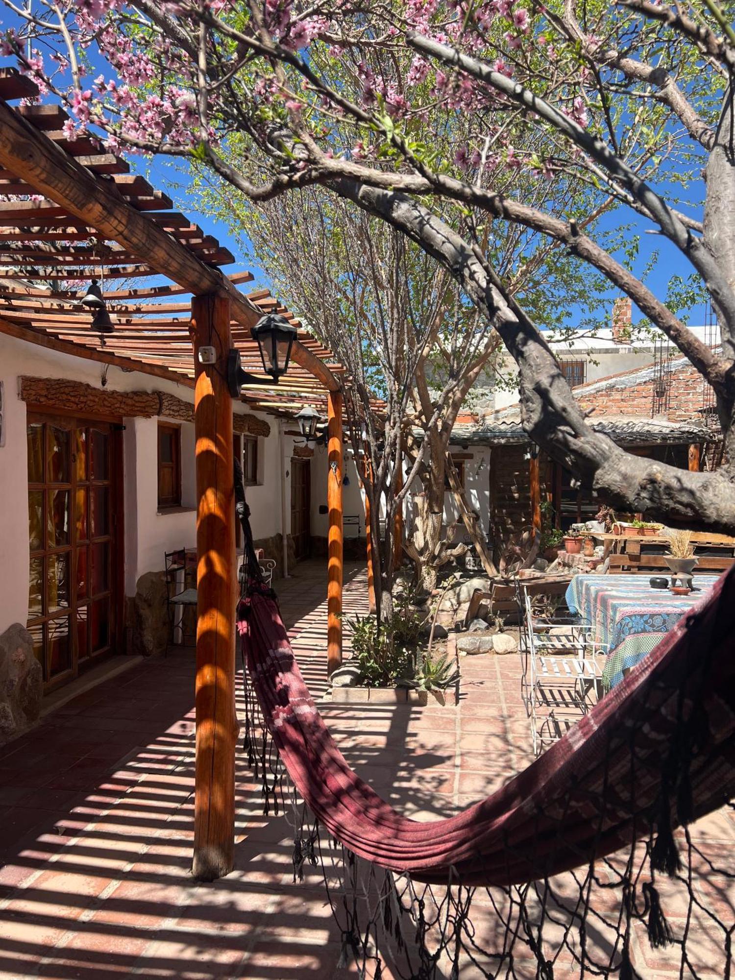 Hostal Tierra Andina Cafayate Zewnętrze zdjęcie