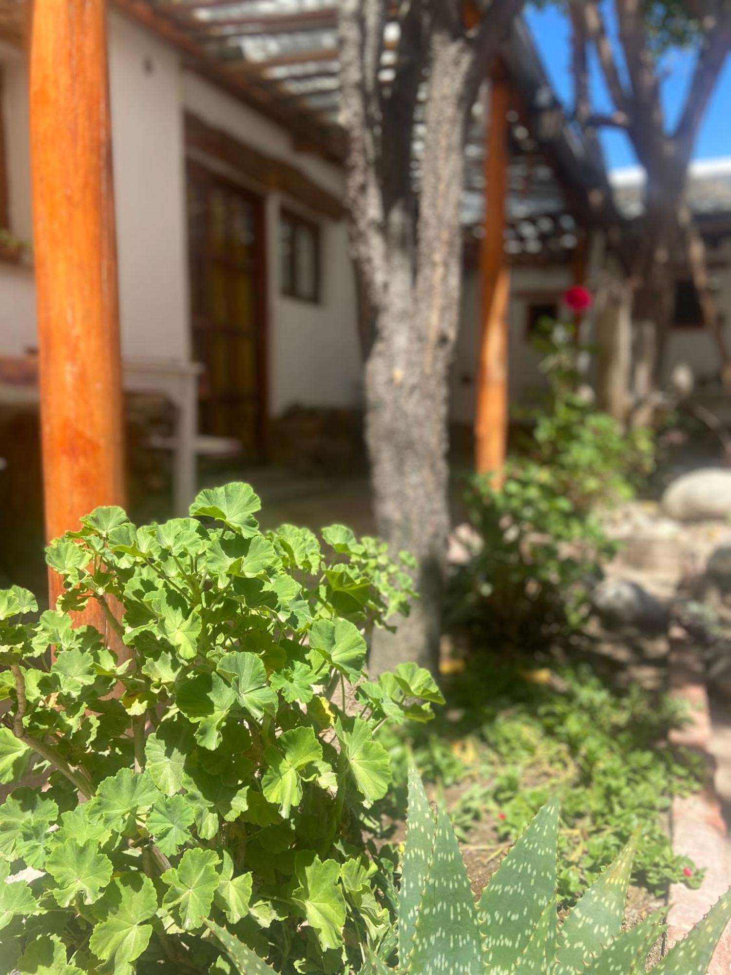 Hostal Tierra Andina Cafayate Zewnętrze zdjęcie